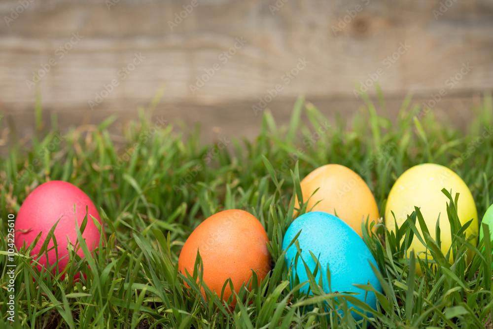 Easter eggs hiding in grass
