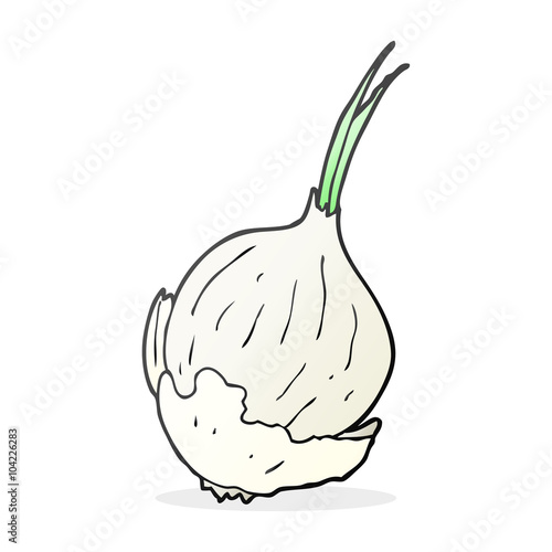cartoon garlic