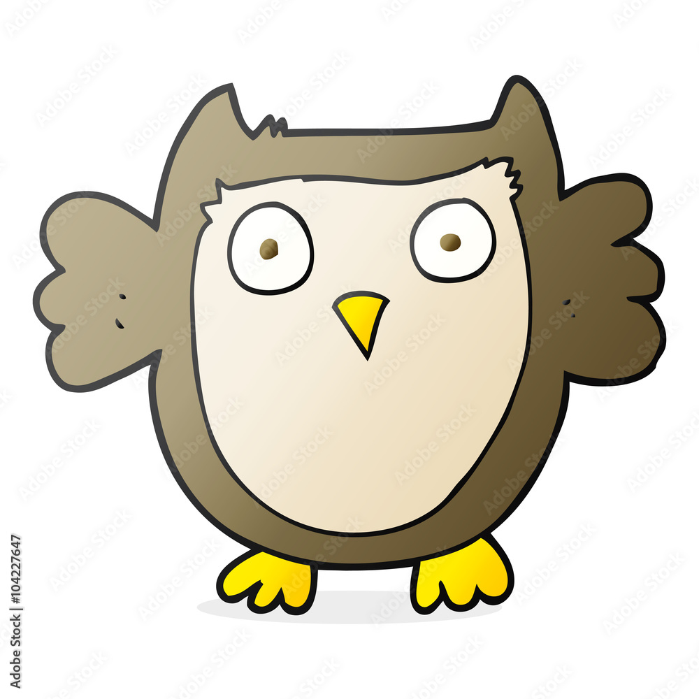 cartoon owl cartoon owl