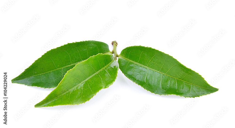 Obraz premium tea leaf on white background