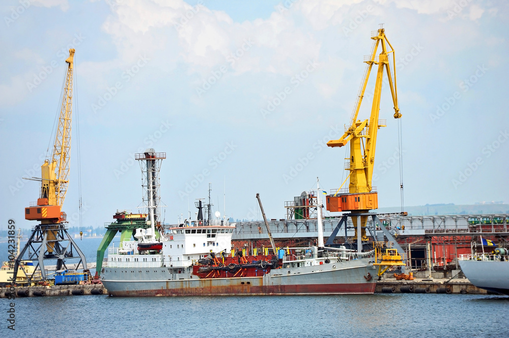 Cargo crane and ship