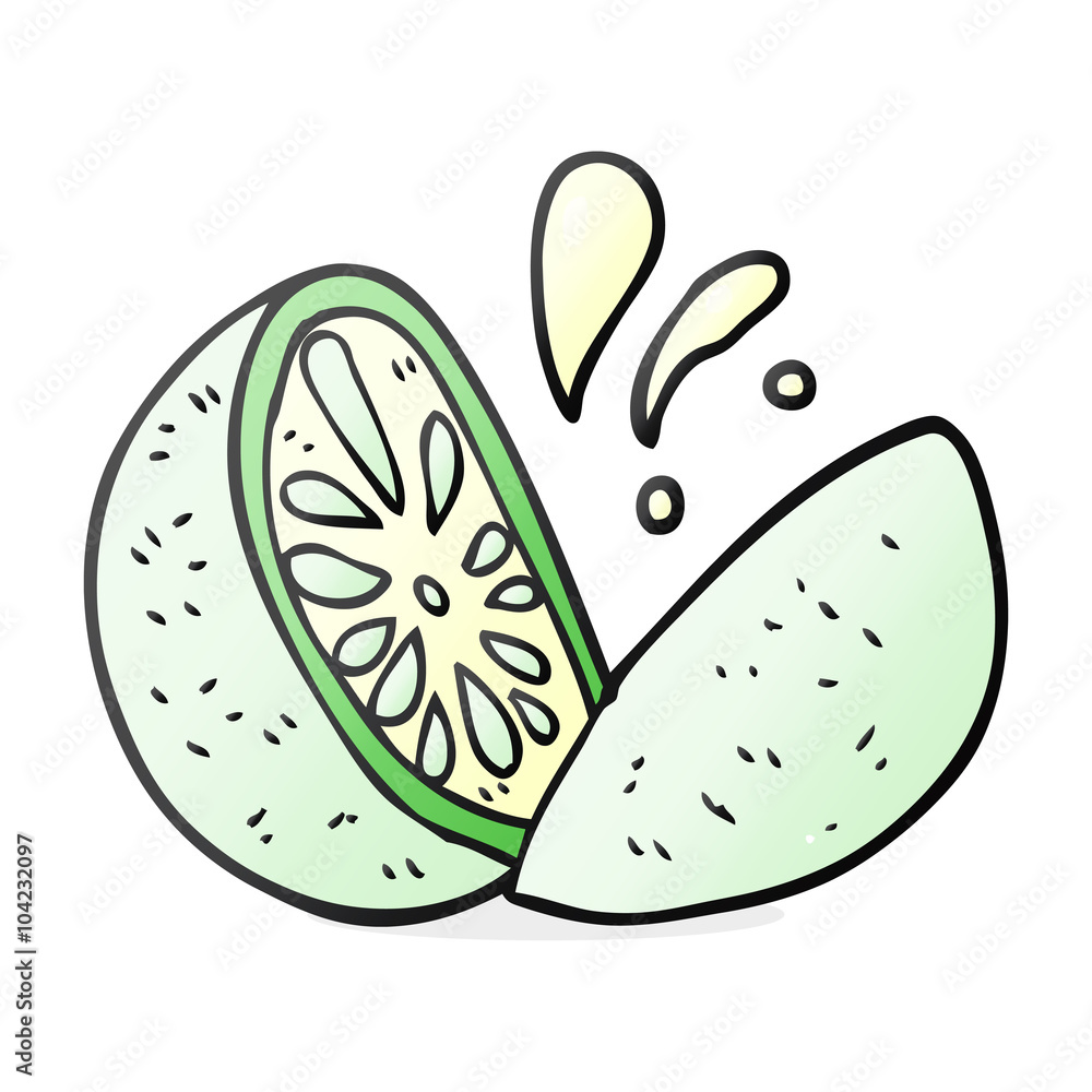 cartoon melon cartoon melon