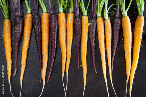 Baby Carrots in a Row Horizontal Top View