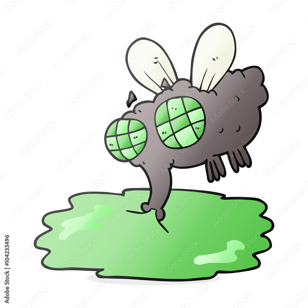 cartoon gross fly cartoon gross fly