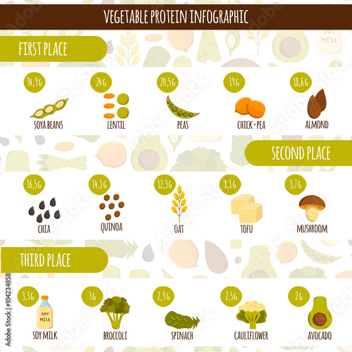 Vegetarian protein infographic