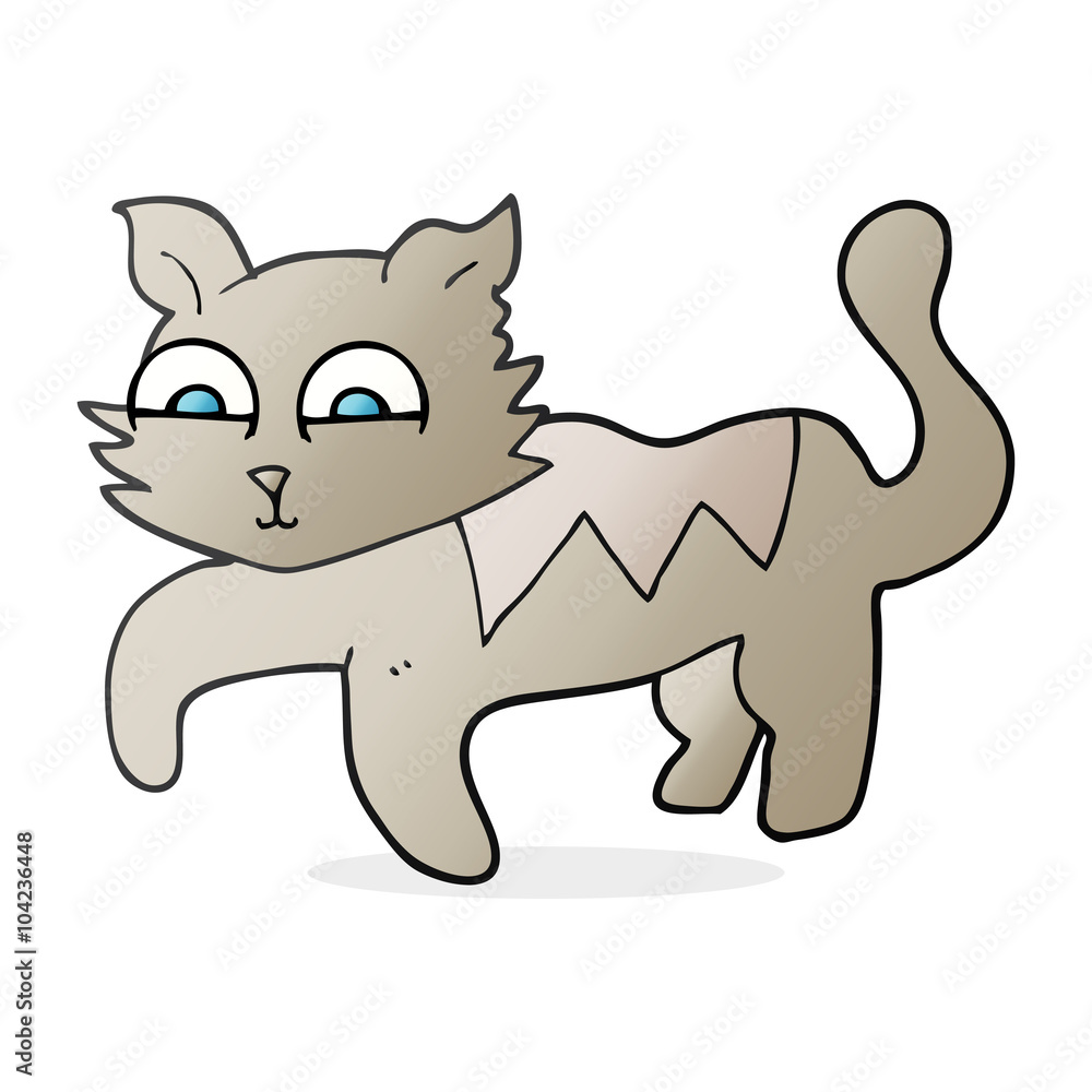 cartoon cat cartoon cat