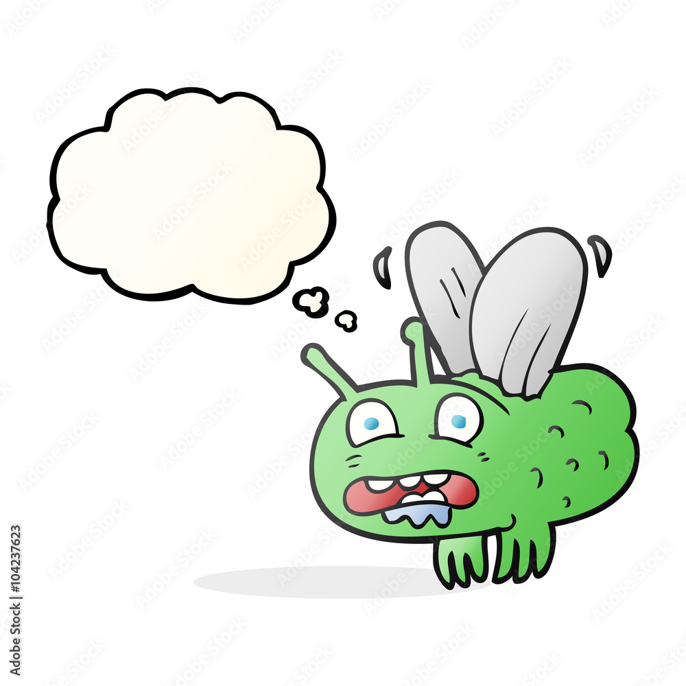 thought bubble cartoon fly thought bubble cartoon fly