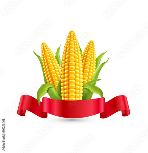 Vector corn. Three ear of corn with leaves and red ribbon. Eleme