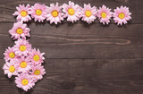 Beautiful pink flowers on the wooden background for designing yo