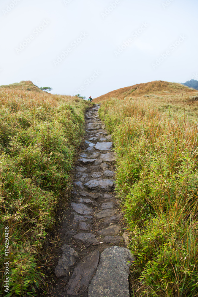 pathway along Mount Pulag