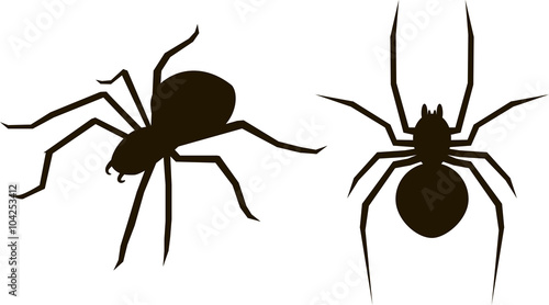 Two silhouette with spiders