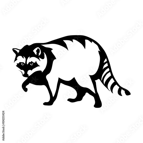 raccoon logo