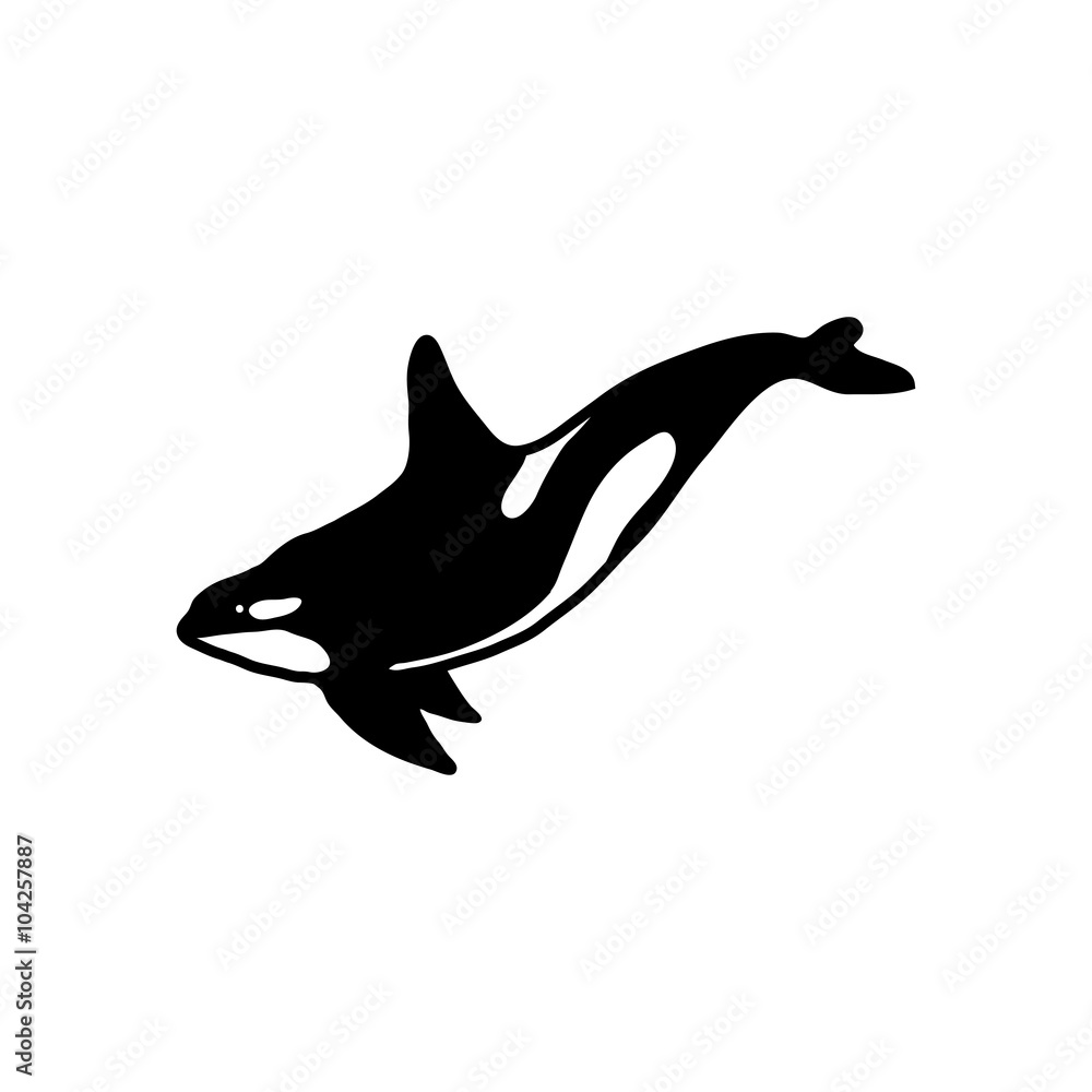 Fototapeta premium Killer Whale Logo