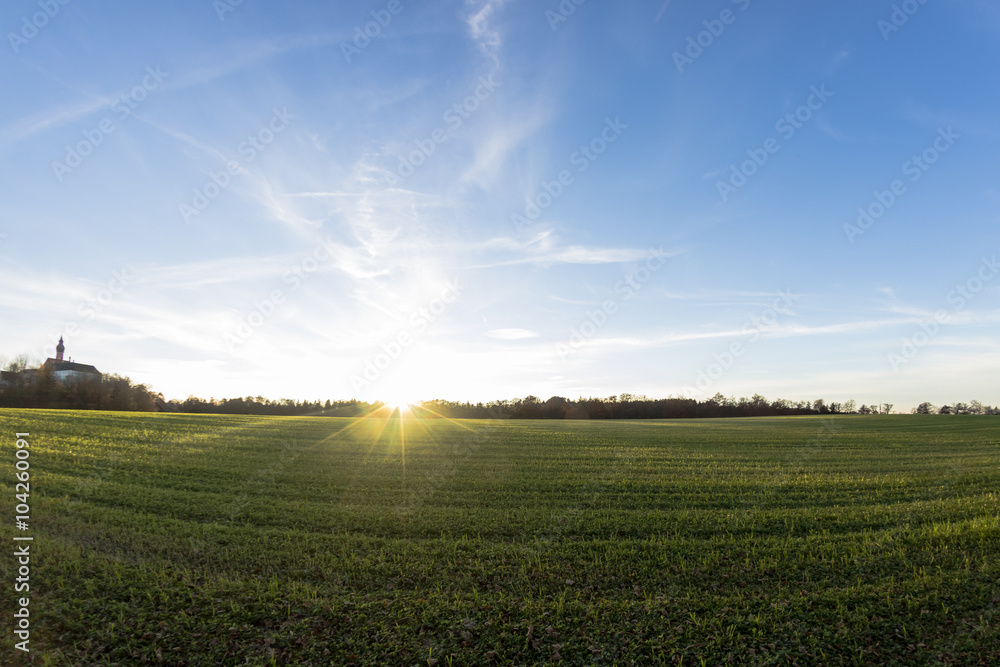 field of grass on sunset