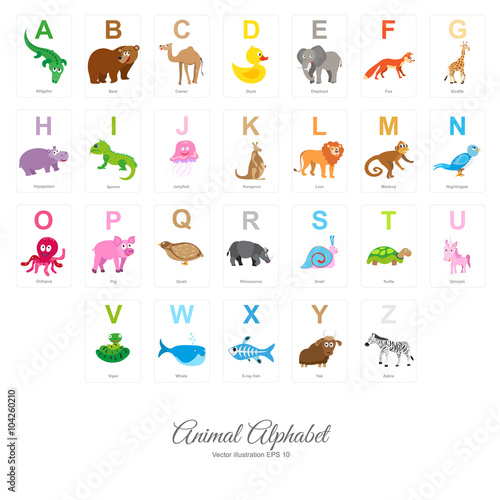 Fototapeta Naklejka Na Ścianę i Meble -  Flat Animal Alphabet