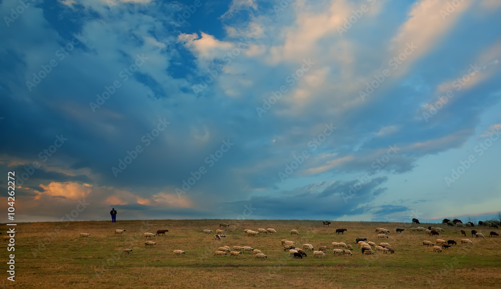 blue sky and sheep herd in the mountains 