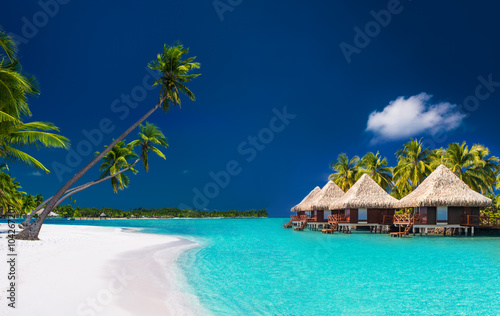 Beach villas on a tropical island with palm trees and white beac