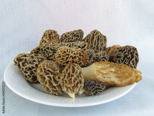 Spring mushrooms - morels on a white plate