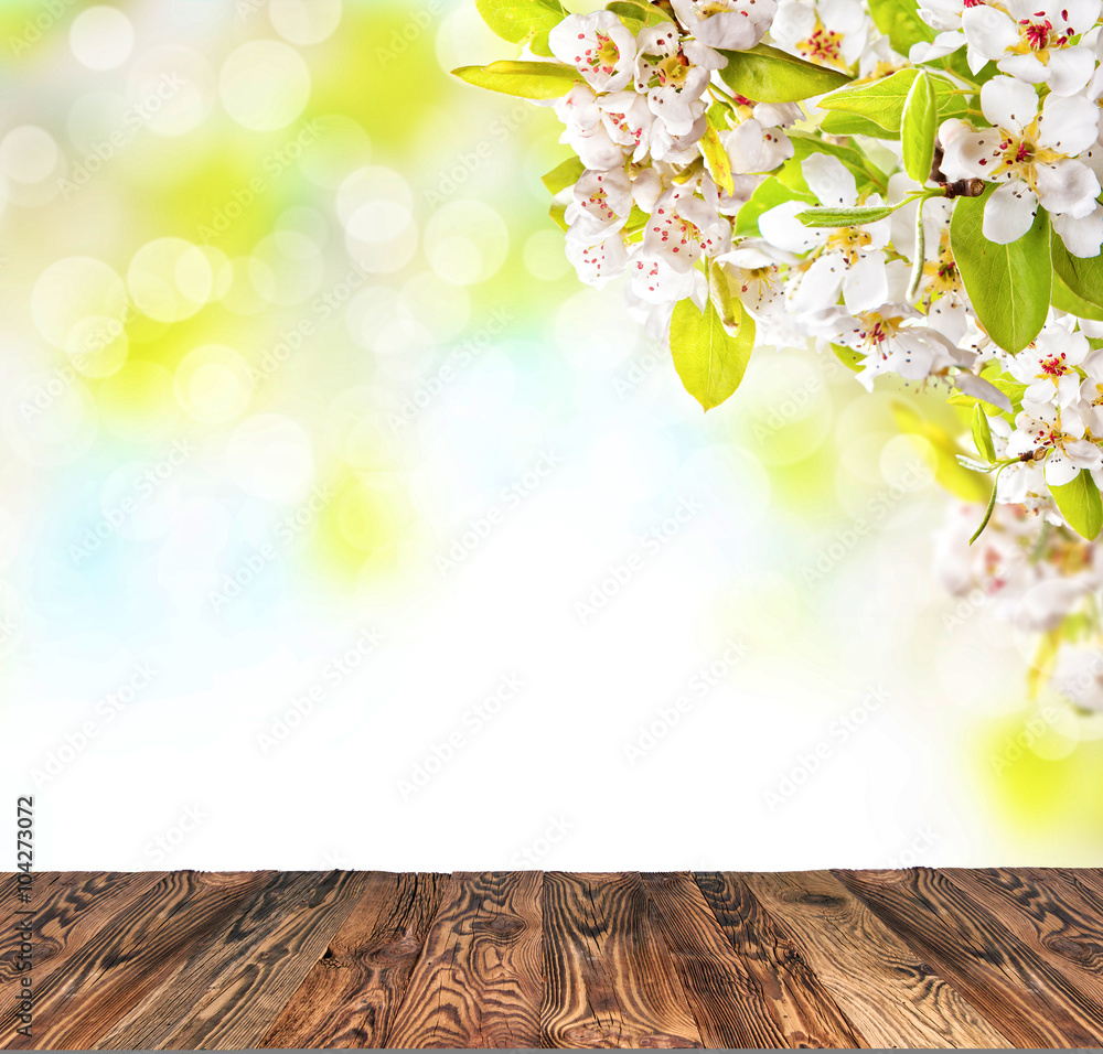 Fototapeta premium Cherry blossoms with empty wooden planks