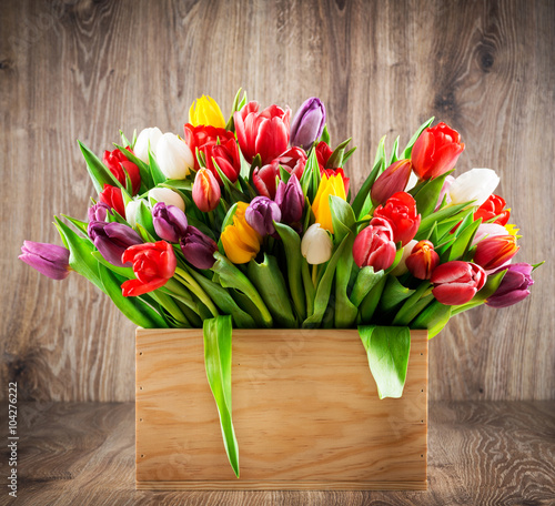 Tulips in the box on wooden background
