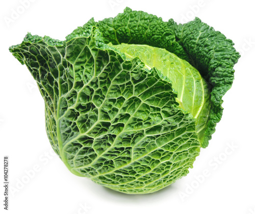 Savoy cabbage, isolated on white.