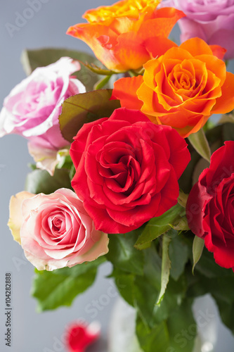 beautiful colorful rose flowers bouquet in vase © Olga Miltsova