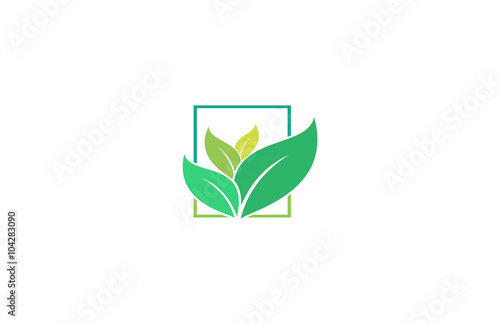 leaf beauty nature spa logo