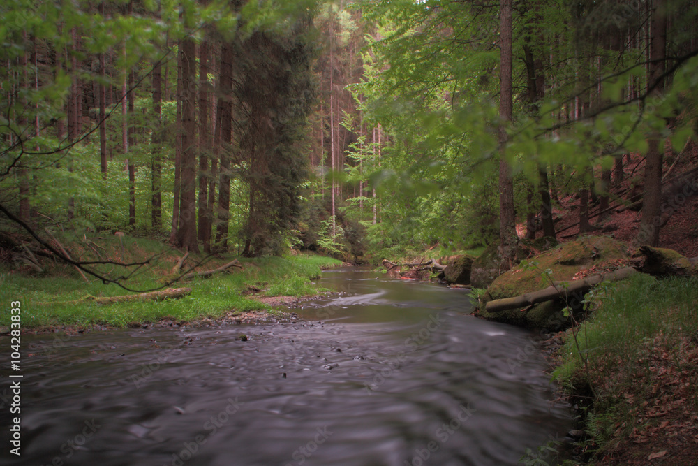 Fototapeta premium Flusslandschaft