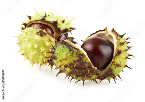 chestnuts