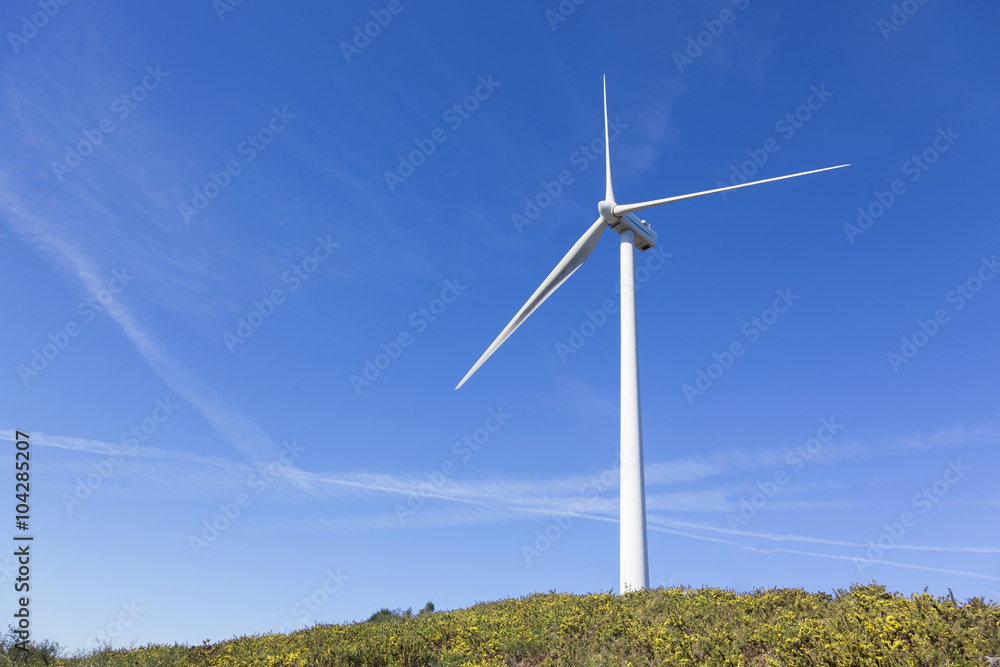 Windmill on a meadow against blue sky