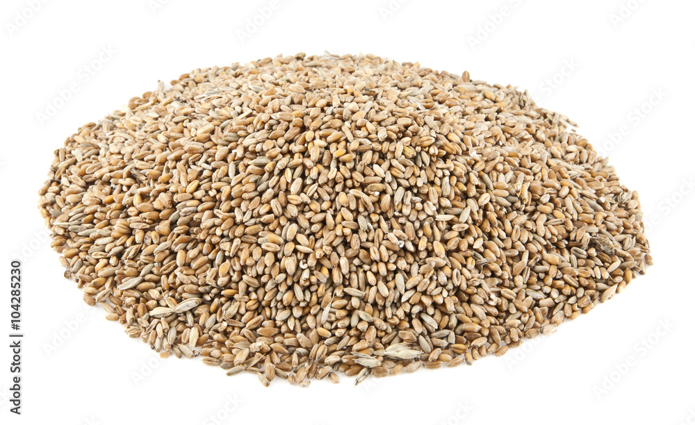 grains of pshenici grains of pshenici