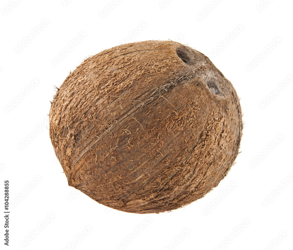 coconut