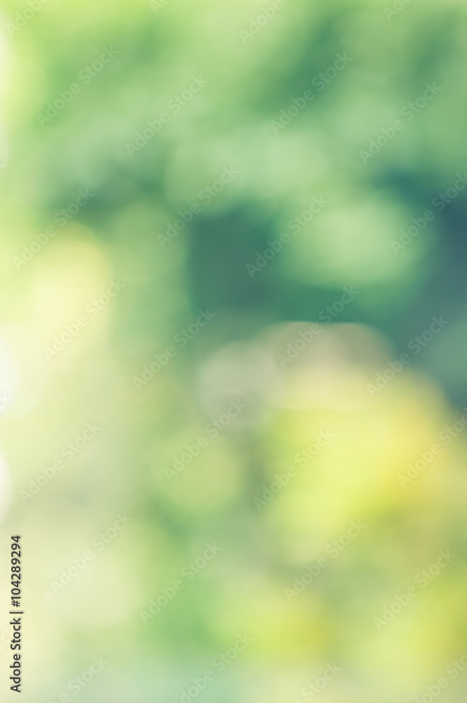 Obraz premium Natural abstract blurry background