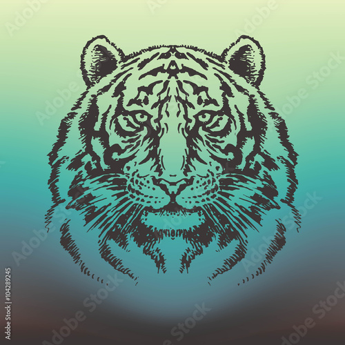 Fototapeta Naklejka Na Ścianę i Meble -  Detailed tiger head vector drawing on emerald gradient