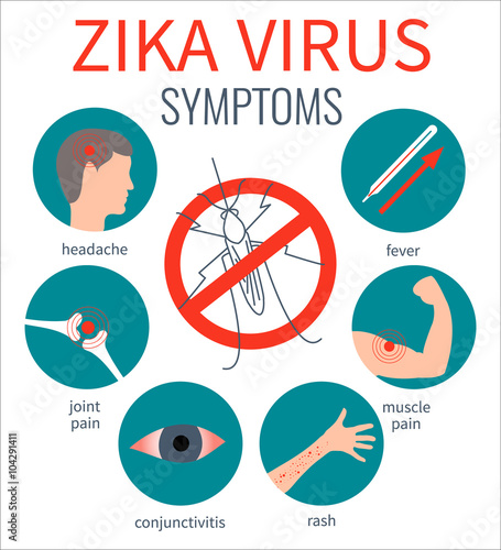 Zika virus symptom icons - fever, headache,muscle pain, joint pain, red eyes, rash. Zika virus infographic elements. No mosquito sign. Transmission. Zika virus design template. Vector illustration..