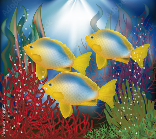 Underwater wallpaper with tropical fish, vector illustration