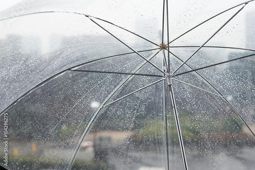 Wet transparent umbrella on natural