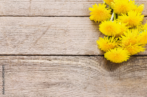 Fototapeta Naklejka Na Ścianę i Meble -  Dandelion flowers on the wooden background