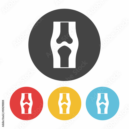 bone icon