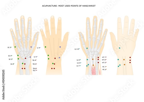 Fototapeta Naklejka Na Ścianę i Meble -  acupuncture: main points of the hand and the wrist