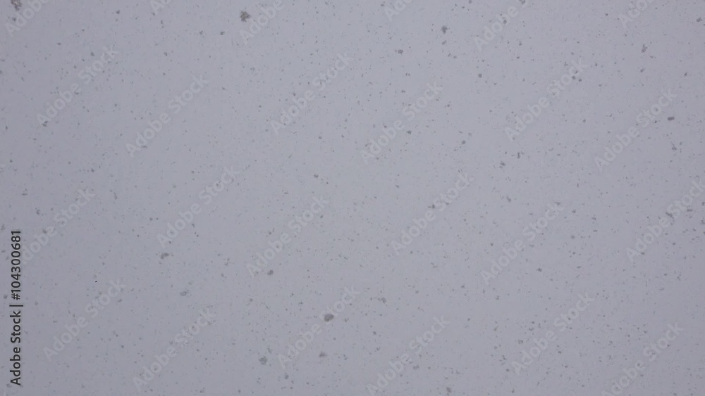 Falling snow at day Falling snow at day