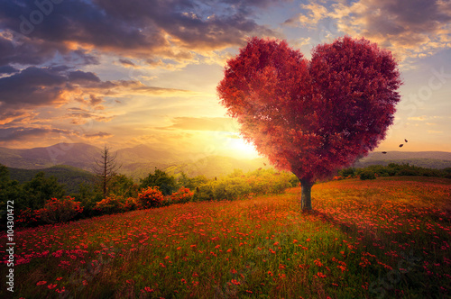 Fotografie, Obraz Červené srdce ve tvaru stromu