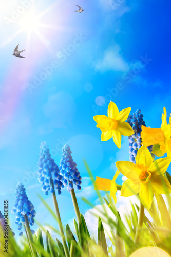 Fototapeta Naklejka Na Ścianę i Meble -  art Easter background with fresh spring flowers