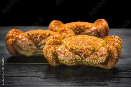 Kegani or Horsehair crab photo