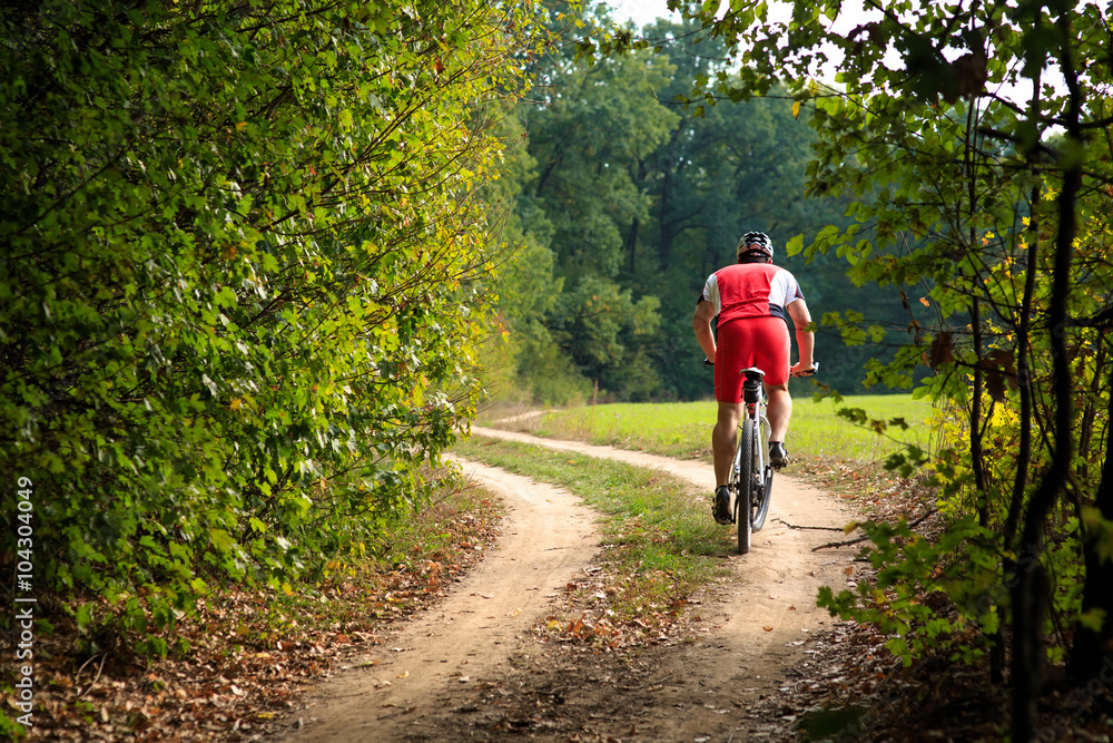 Obraz premium Rider on Mountain Bicycle it the forest