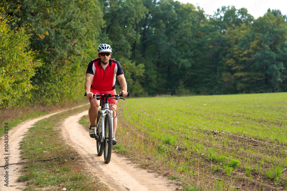 Rider on Mountain Bicycle it the forest