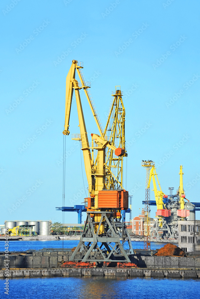 Port cargo crane