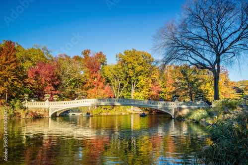 Central Park in Autumn © f11photo