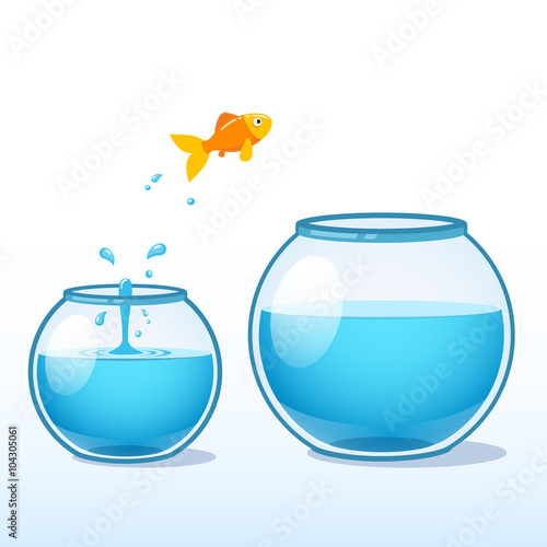 Goldfish making leap of faith to a bigger fishbowl photo