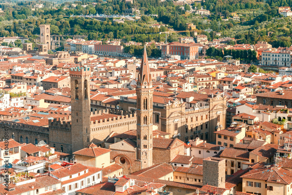 Florence. View of the city from above .